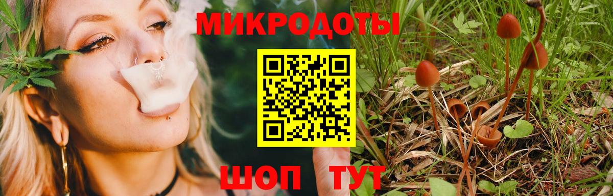 Семилуки  Галлюциногенные грибы Psilocybe  Вход с VPN 